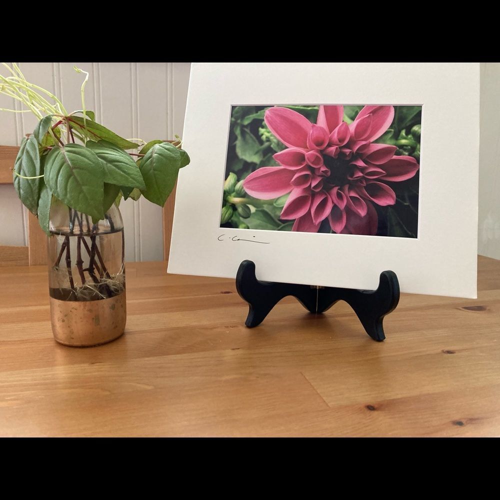 New Original Signed Photography